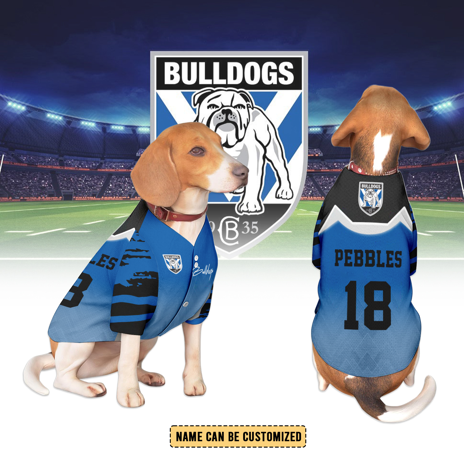 Auspiritmerch Canterbury-Bankstown Bulldogs Personalized Pet Baseball Jersey Gift For Fans