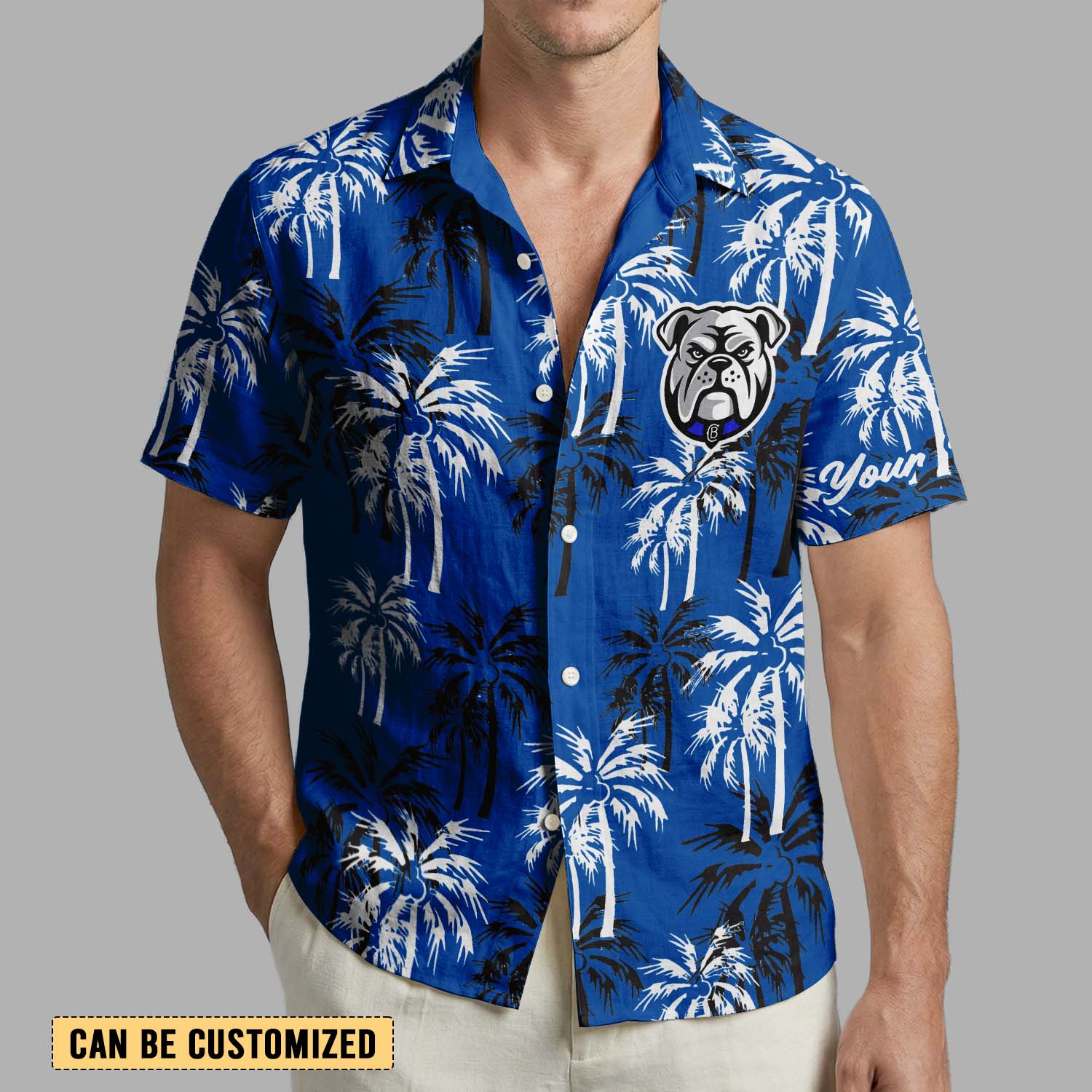 Auspiritmerch Canterbury-Bankstown Bulldogs Personalized Hawaiian Shirt Gift For Fans